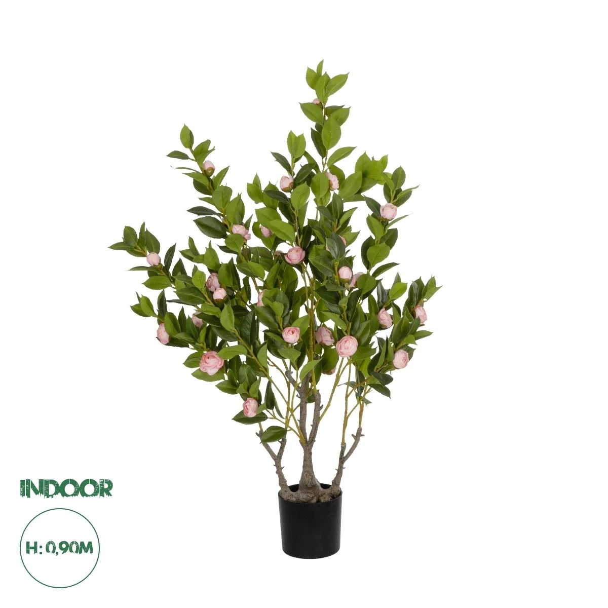 Φωτογραφία προϊόντος: GloboStar® Artificial Garden CAMELIA 21115 Τεχνητό Διακοσμητικό Δέντρο Καμέλια Μ50 x Π30 x Υ90cm