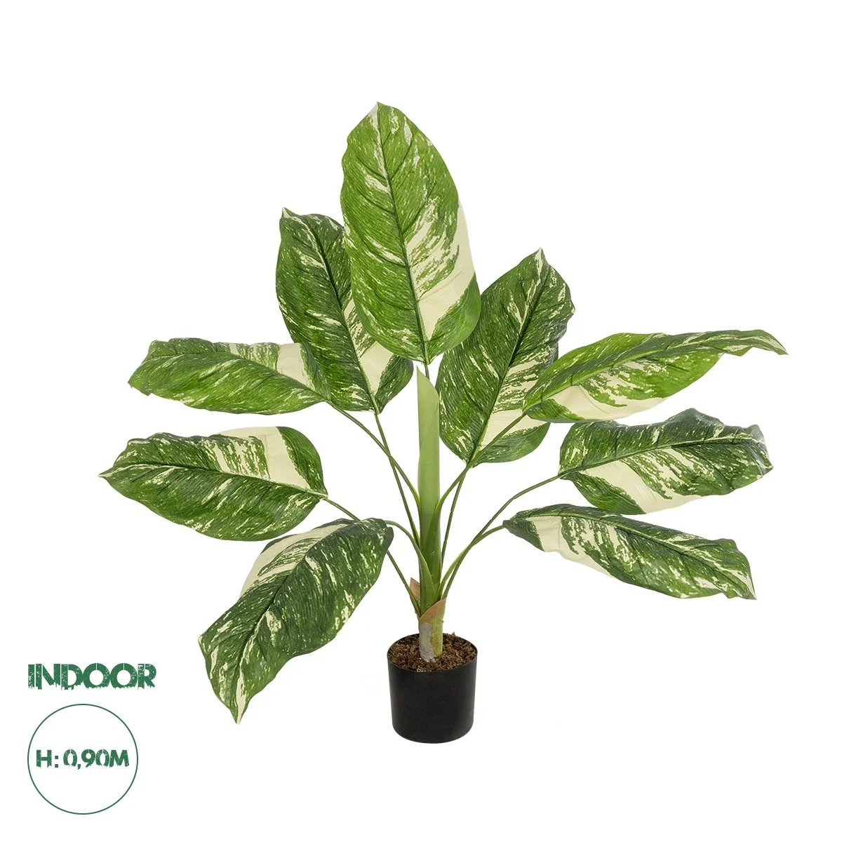 Φωτογραφία προϊόντος: GloboStar® Artificial Garden DIEFFENBACHIA 20941 Τεχνητό Διακοσμητικό Φυτό Πράσινη & Μπεζ Διφενμπάχια Μ80 x Π80 x Υ90cm