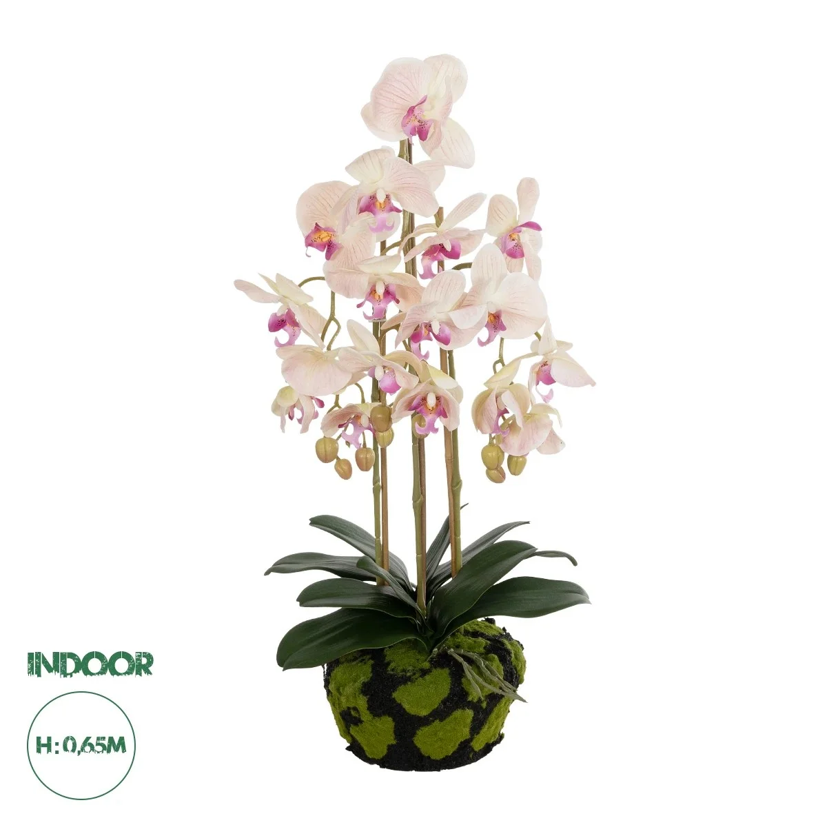 Φωτογραφία προϊόντος: GloboStar® Artificial Garden BUTTERFLY ORCHID BONSAI 21400 Τεχνητό Διακοσμητικό Φυτό Ορχιδέα Μ34 x Π27 x Υ65cm
