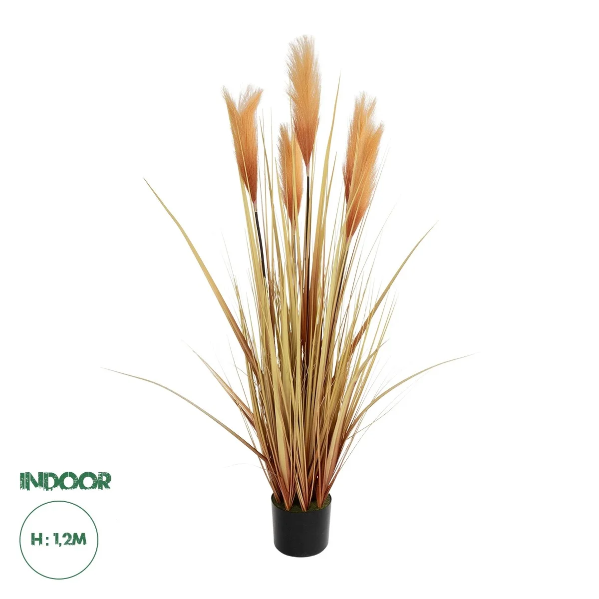 Φωτογραφία προϊόντος: GloboStar® Artificial Garden PAMPAS GRASS 21475 Τεχνητό Διακοσμητικό Φυτό Παμπας Υ120cm