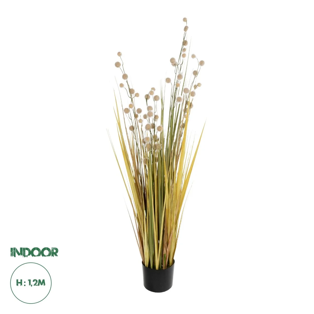 Φωτογραφία προϊόντος: GloboStar® Artificial Garden CRASPEDIA GRASS 21479 Τεχνητό Διακοσμητικό Φυτό Κρασπέδια Υ120cm