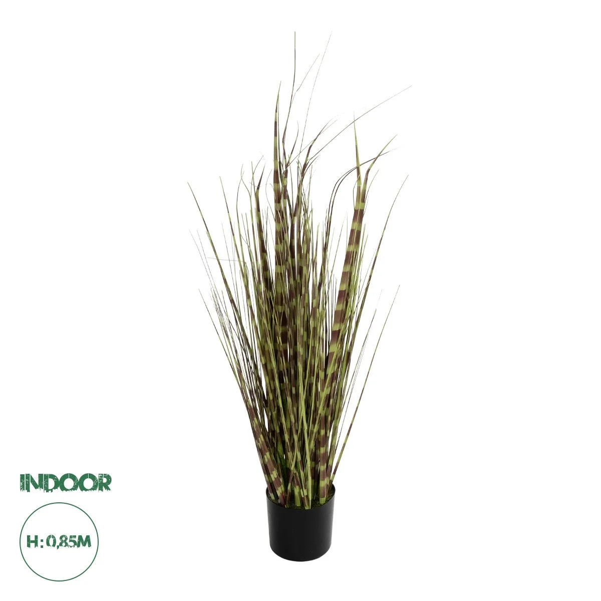 Φωτογραφία προϊόντος: GloboStar® Artificial Garden ZEBRA GRASS 21482 Τεχνητό Διακοσμητικό Φυτό Ζέμπρα Υ85cm