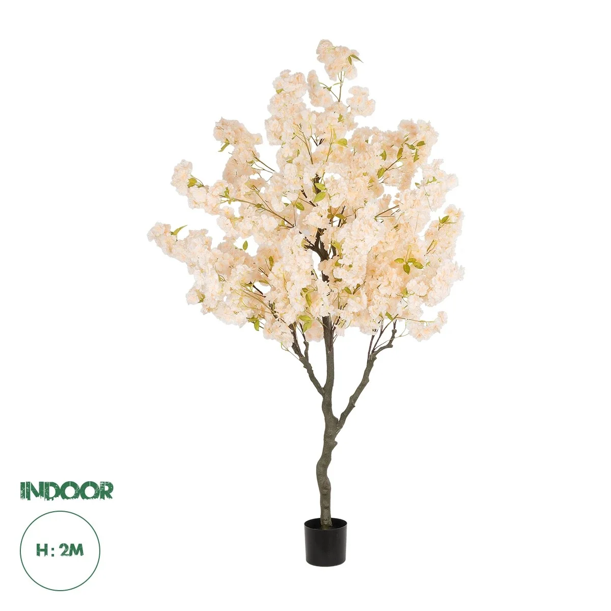 Φωτογραφία προϊόντος: GloboStar® Artificial Garden SALMON CHERRY BLOSSOM TREE 20680 Τεχνητό Διακοσμητικό Δέντρο Απαλό Ροζ Άνθος Κερασιάς Υ200cm
