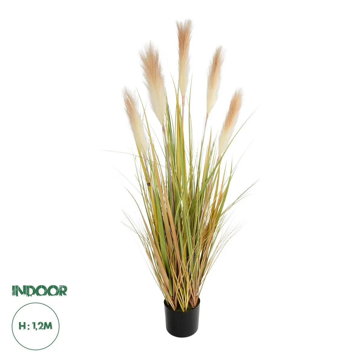 Φωτογραφία προϊόντος: GloboStar® Artificial Garden PAMPAS GRASS 21477 Τεχνητό Διακοσμητικό Φυτό Παμπας Υ120cm