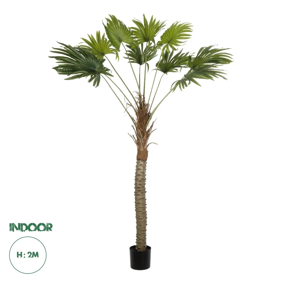 Φωτογραφία προϊόντος: GloboStar® Artificial Garden WASHINGTONIA FILIFERA TREE 21107 Τεχνητό Διακοσμητικό Φοινικόδεντρου Υ200cm