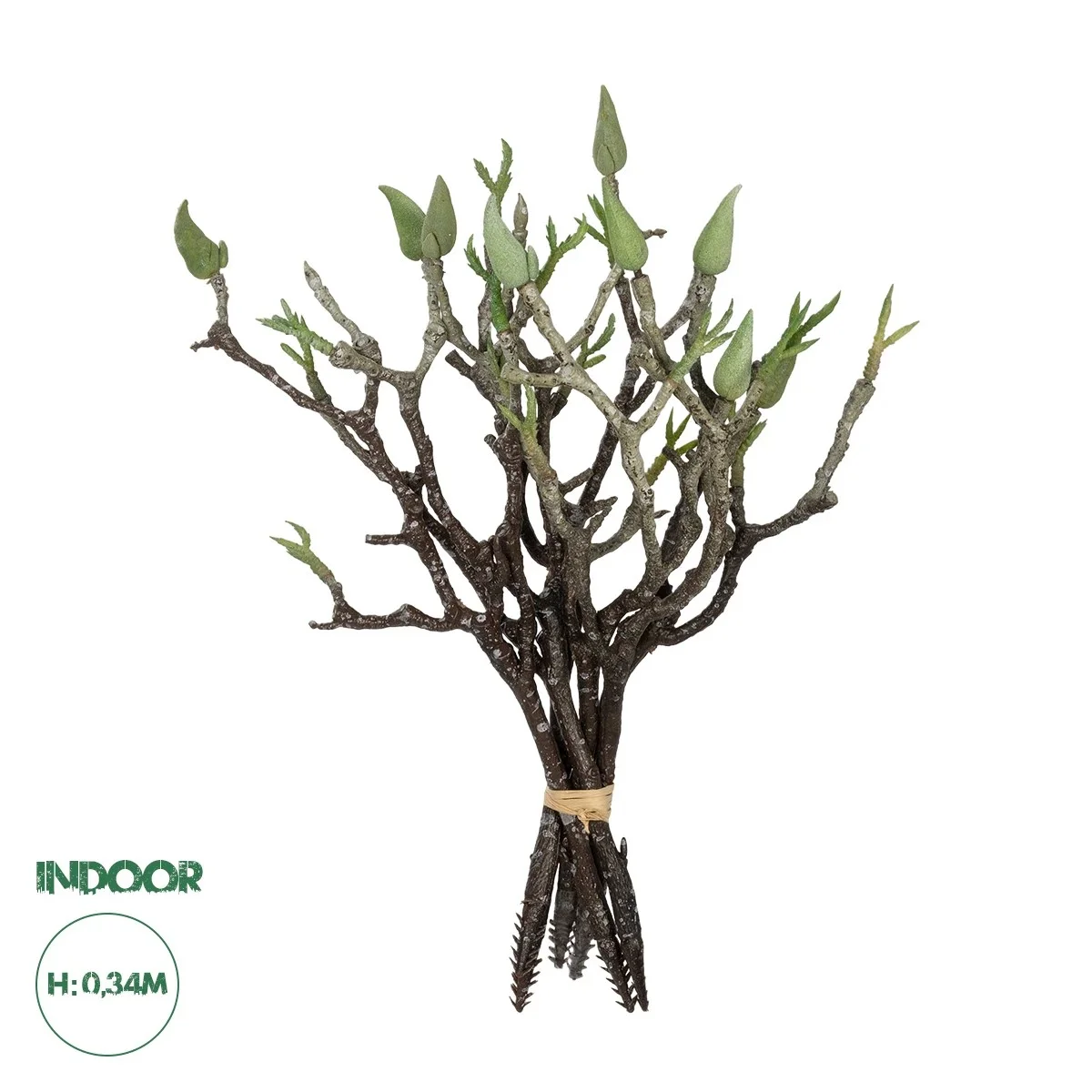 Φωτογραφία προϊόντος: GloboStar® Artificial Garden GREEN ORCHID BOUQET 21466 Τεχνητό Διακοσμητικό Μπουκέτο Πράσινη Ορχιδέα Y34cm
