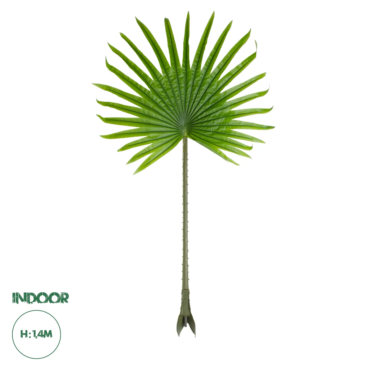 Φωτογραφία προϊόντος: GloboStar® Artificial Garden SERENOA PALM LEAF 20172 Τεχνητό Διακοσμητικό Φύλο Φοινικόδεντρου Σερενόα Βεντάλια Π77 x Υ140cm