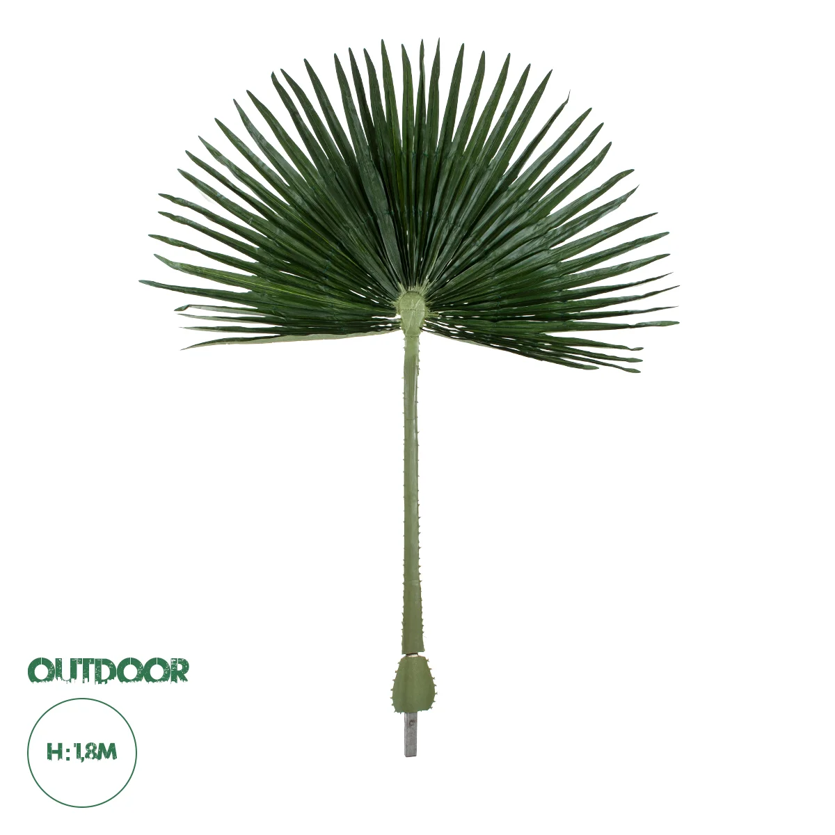Φωτογραφία προϊόντος: GloboStar® Artificial Garden WASHINGTONIA FILIFERA PALM LEAF 20170 Τεχνητό Διακοσμητικό Φύλο Φοινικόδεντρου Βεντάλια Π135 x Υ180cm