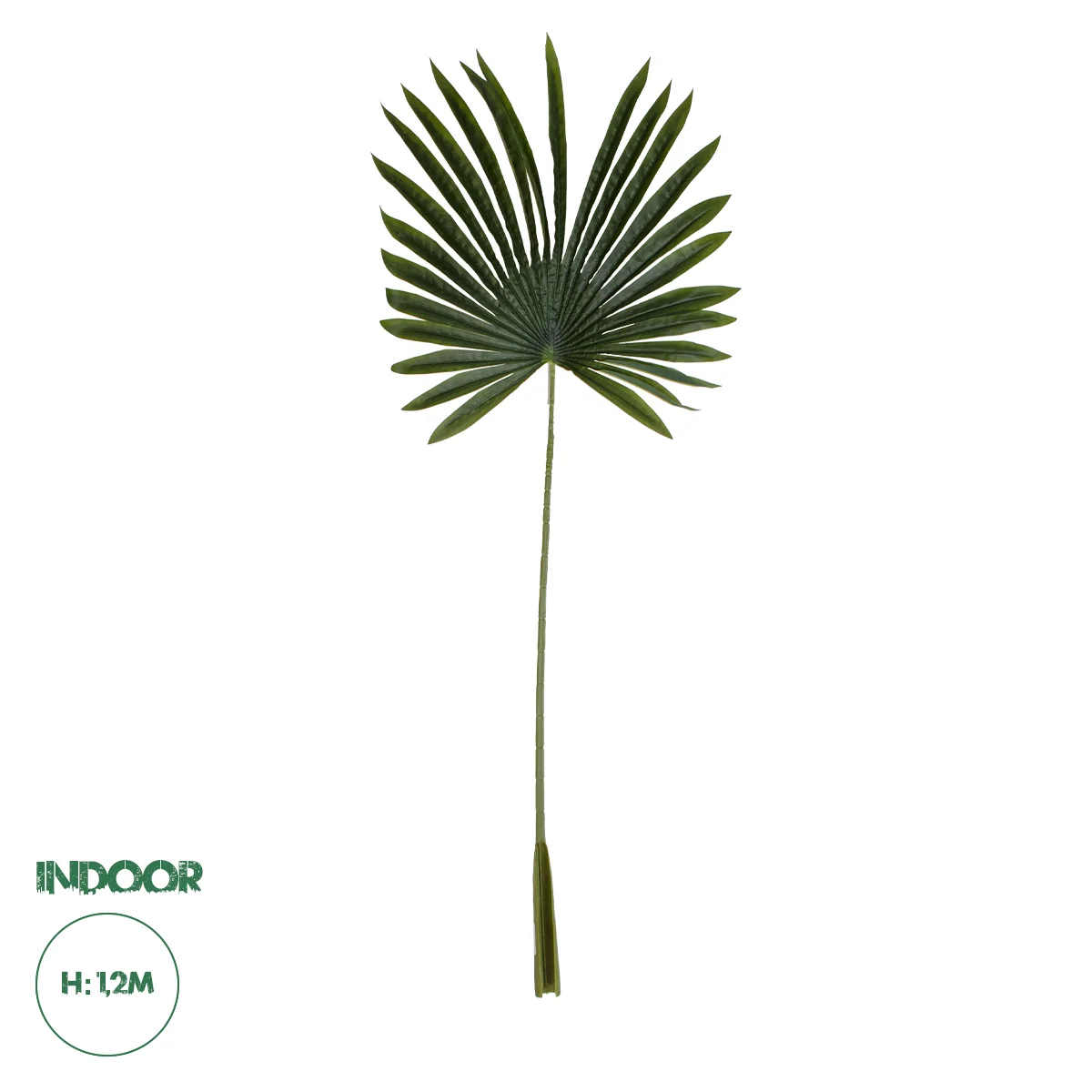 Φωτογραφία προϊόντος: GloboStar® Artificial Garden SERENOA PALM LEAF 20173 Τεχνητό Διακοσμητικό Φύλο Φοινικόδεντρου Σερενόα Βεντάλια Π47 x Υ120cm