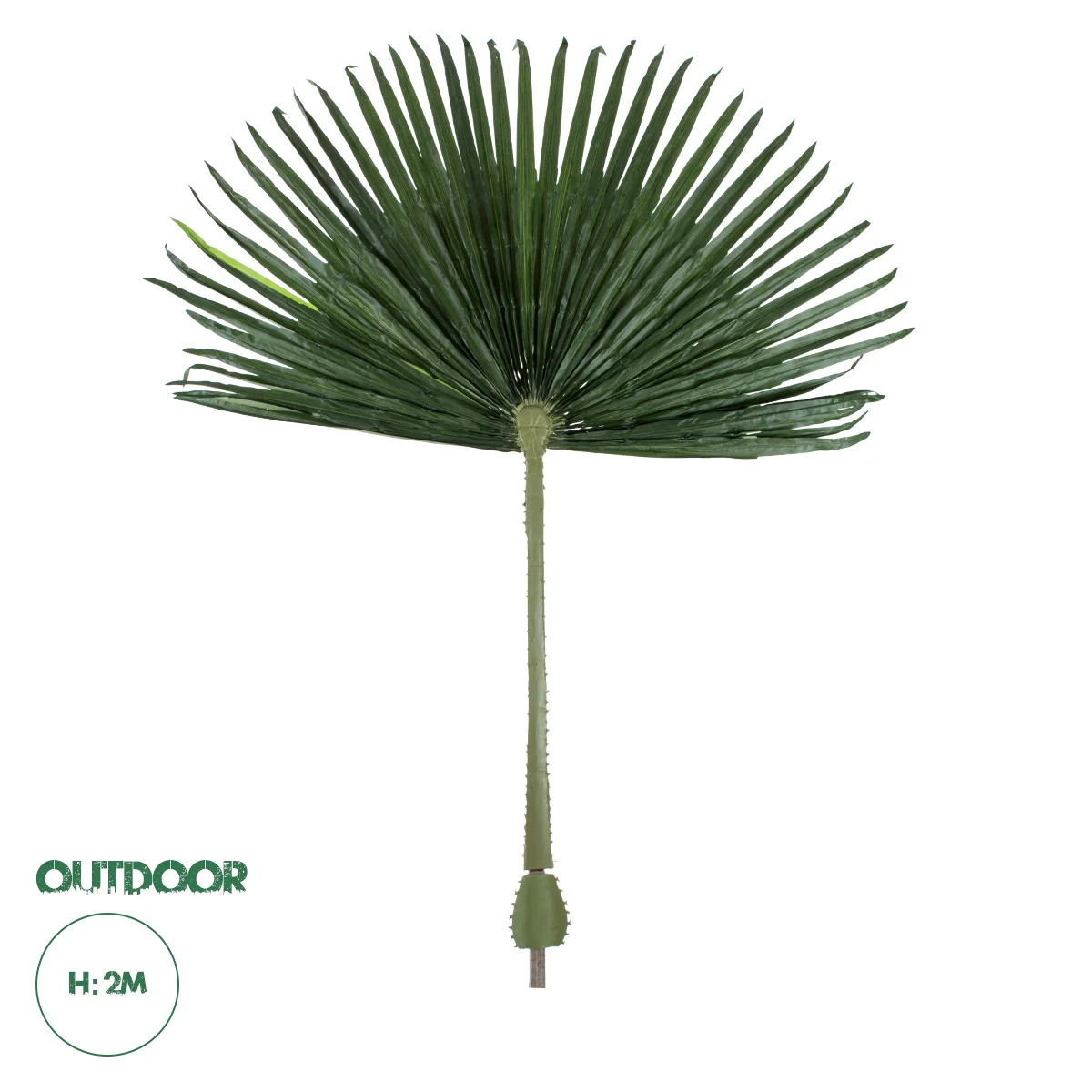 Φωτογραφία προϊόντος: GloboStar® Artificial Garden WASHINGTONIA FILIFERA PALM LEAF 20171 Τεχνητό Διακοσμητικό Φύλο Φοινικόδεντρου Βεντάλια Π170 x Υ200cm