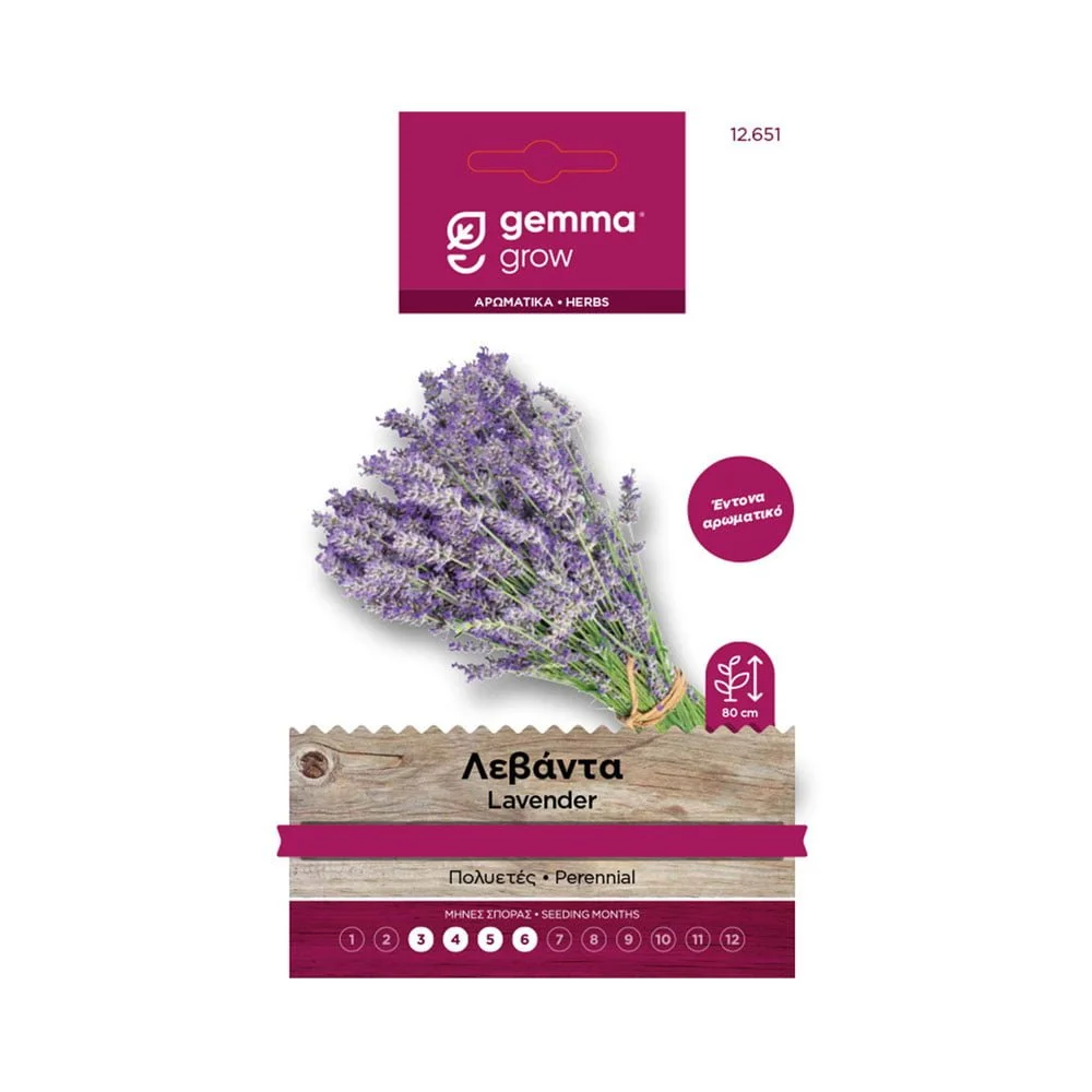Φωτογραφία προϊόντος: Gemma Λεβάντα - 12651