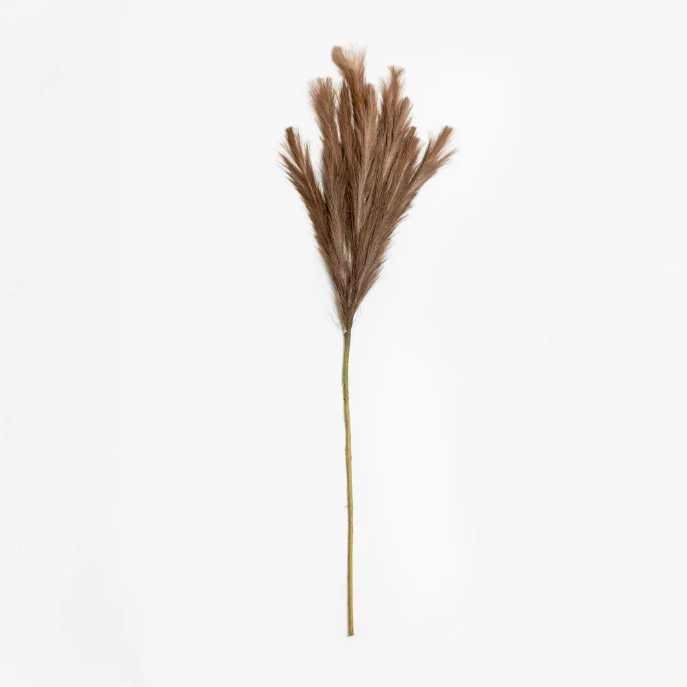 Φωτογραφία προϊόντος: FEDER ΚΛΑΔΙ ΤΕΧΝΗΤΟ 110cm POLYESTER ΚΑΦΕ