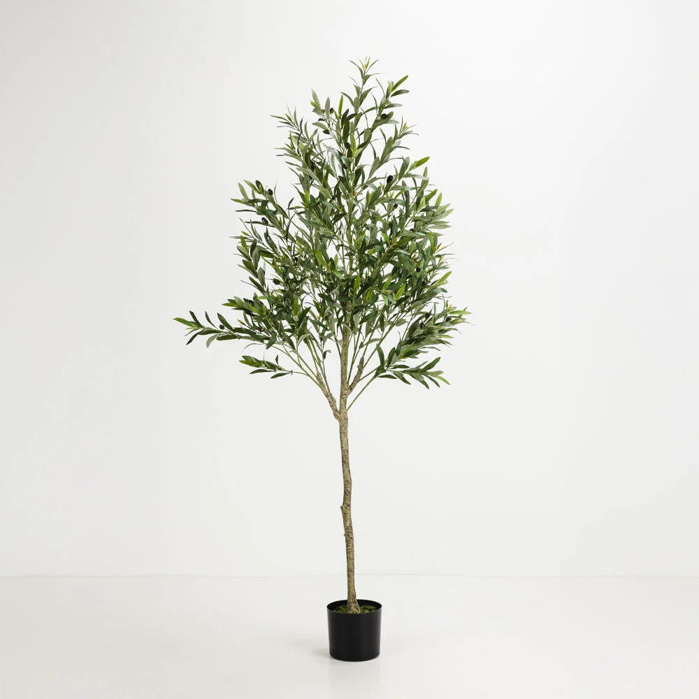 Φωτογραφία προϊόντος: OLIVE TREE ΔΕΝΤΡΟ ΤΕΧΝΗΤΟ ΣΕ ΓΛΑΣΤΡΑ 180cm ΥΦΑΣΜΑ ΠΡΑΣΙΝΟ PVC