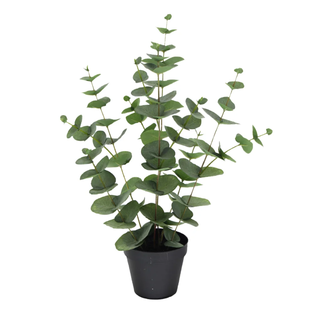 Φωτογραφία προϊόντος: EUCALYPTUS ΦΥΤΟ ΤΕΧΝΗΤΟ ΣΕ ΓΛΑΣΤΡΑ 49cm POLYESTER ΠΡΑΣΙΝΟ PE/PP