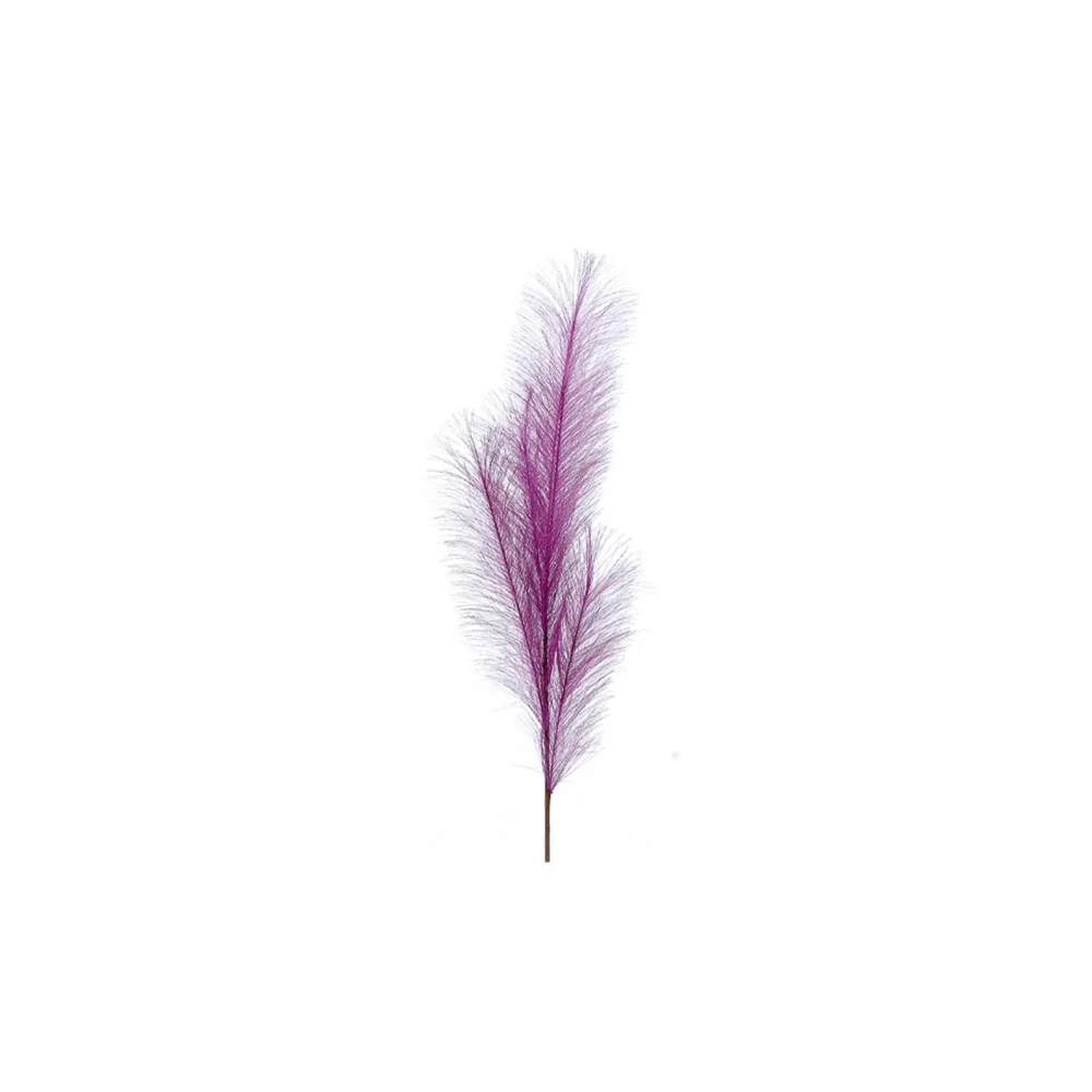 Φωτογραφία προϊόντος: Plastona Κλαδί Pampas μωβ 80cm