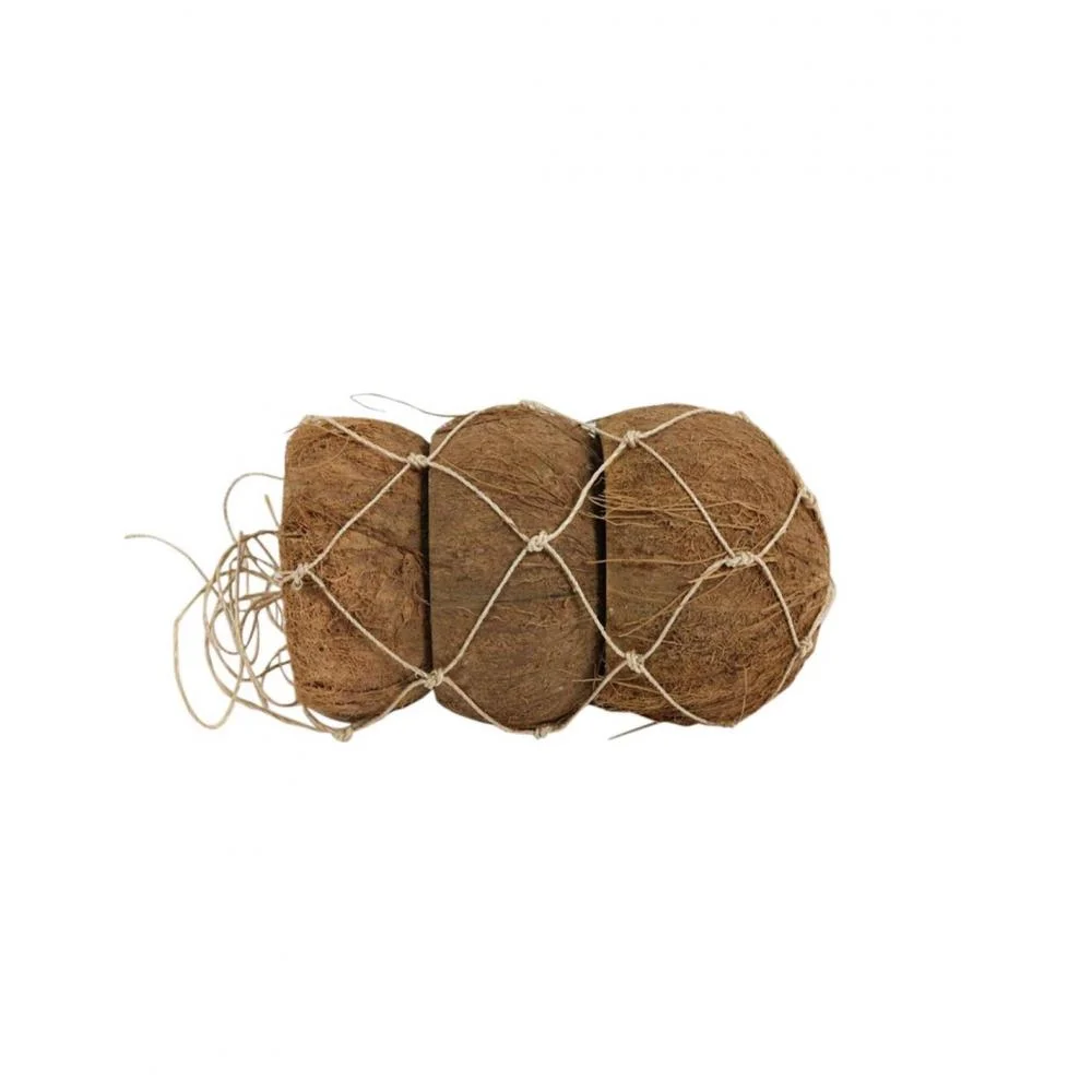 Φωτογραφία προϊόντος: Plastona Καρύδα Φ10 Η14CM σ/3