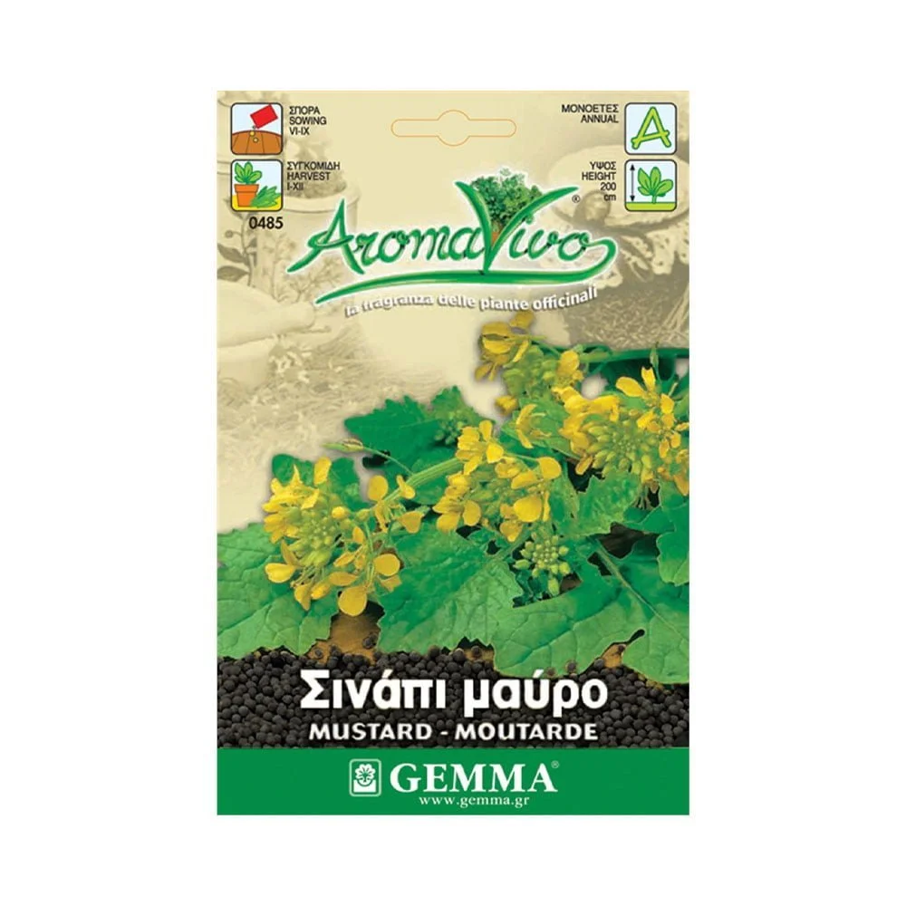 Φωτογραφία προϊόντος: Gemma Σινάπι Μαύρο - 0485