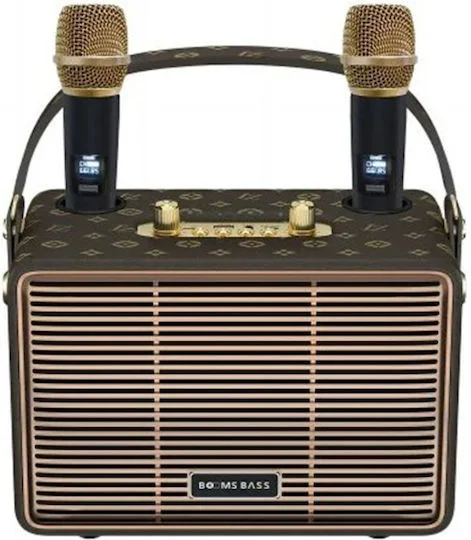 Φωτογραφία προϊόντος: Ηχείο Karaoke με Ασύρματα Μικρόφωνα HJ-4202+.BRO Καφέ