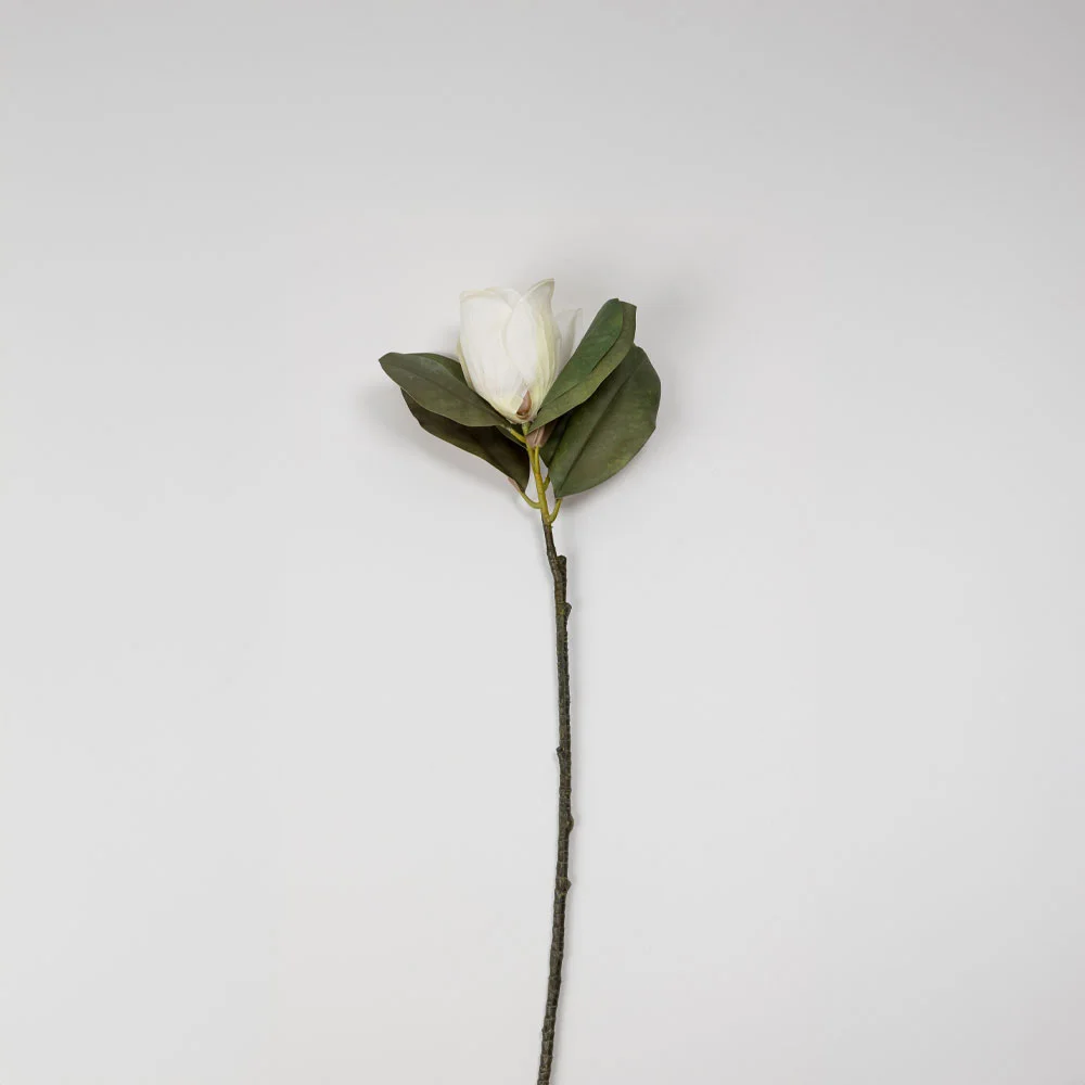 Φωτογραφία προϊόντος: MAGNOLIA ΛΟΥΛΟΥΔΙ ΤΕΧΝΗΤΟ 71cm POLYESTER ΜΠΕΖ ΠΡΑΣΙΝΟ