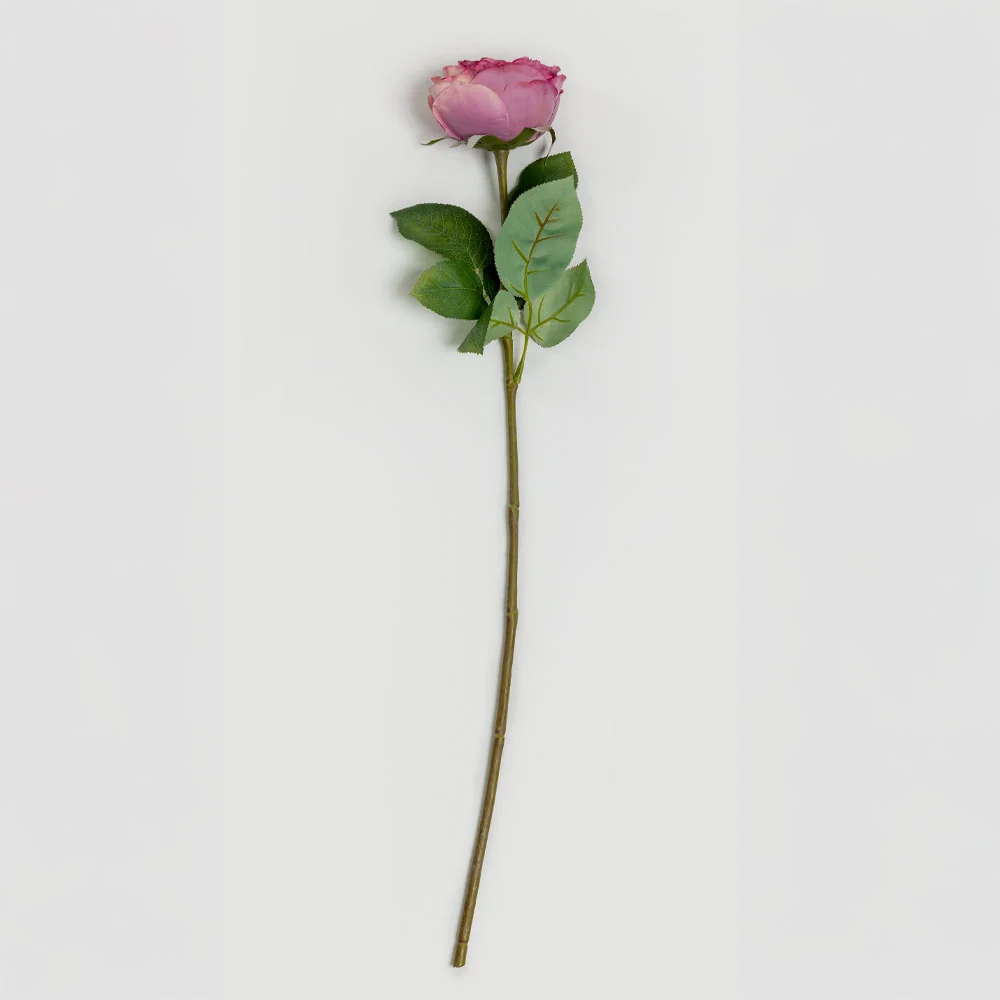 Φωτογραφία προϊόντος: CABBAGE ROSE ΛΟΥΛΟΥΔΙ ΤΕΧΝΗΤΟ 66cm POLYESTER ΡΟΖ ΦΟΥΞΙΑ ΠΡΑΣΙΝΟ