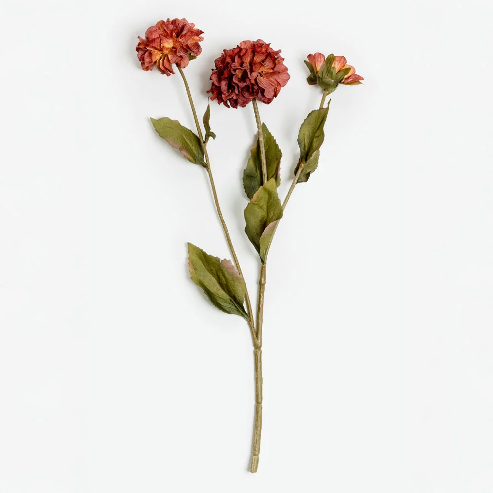 Φωτογραφία προϊόντος: ZINNIA ΛΟΥΛΟΥΔΙ ΤΕΧΝΗΤΟ 52cm POLYESTER ΜΠΟΡΝΤΩ ΠΟΡΤΟΚΑΛΙ ΠΡΑΣΙΝΟ