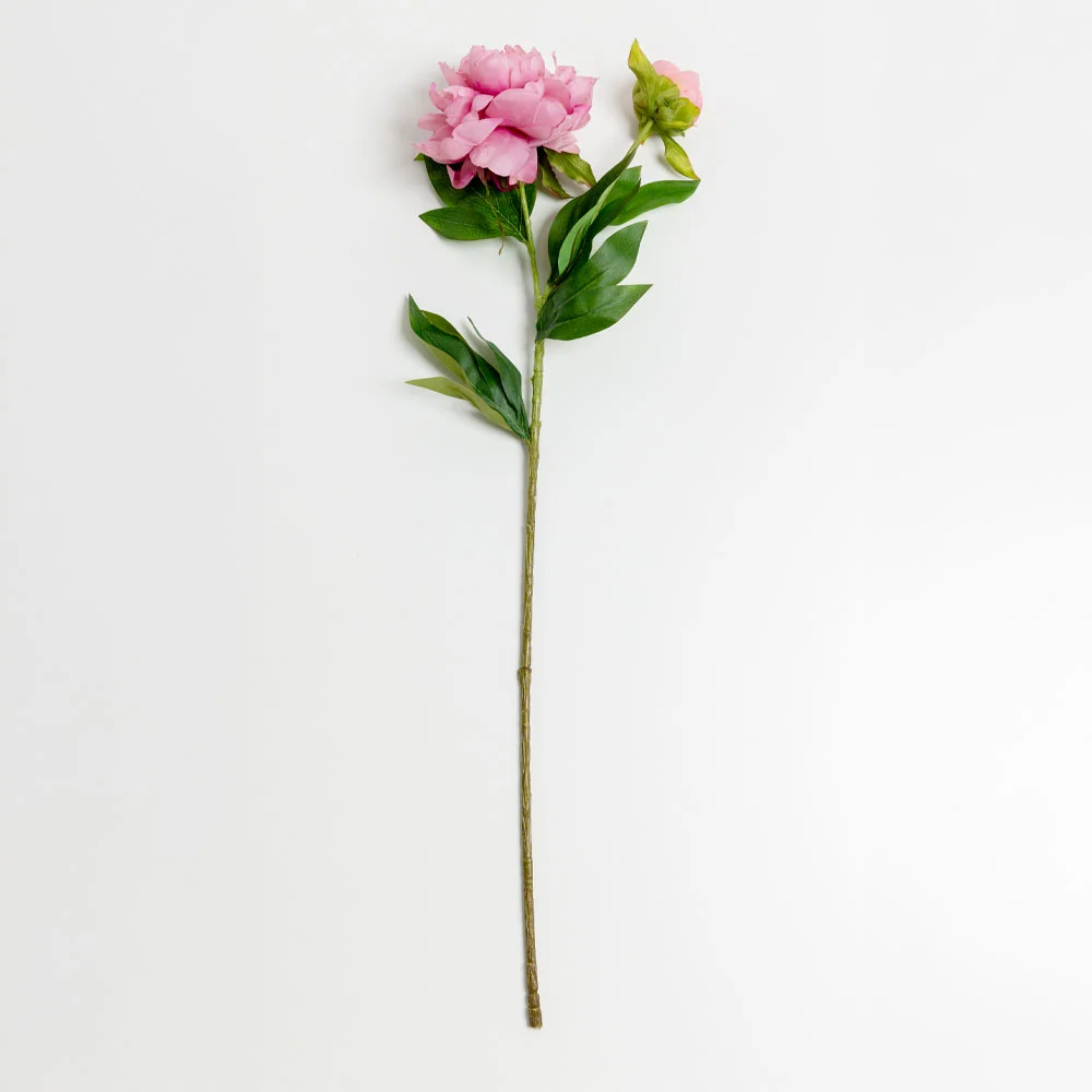 Φωτογραφία προϊόντος: PEONY ΛΟΥΛΟΥΔΙ ΤΕΧΝΗΤΟ 67cm POLYESTER ΡΟΖ ΠΡΑΣΙΝΟ