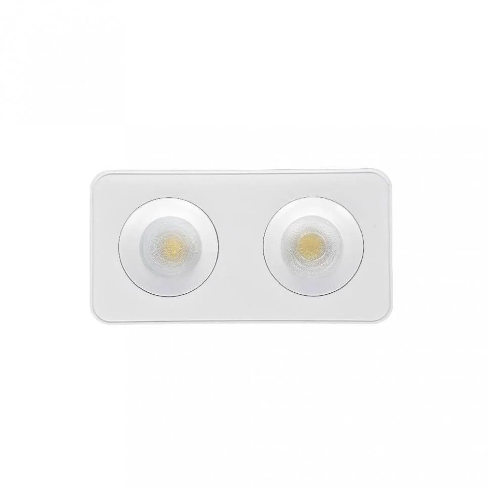 Φωτογραφία προϊόντος: Inlight Downlight Mounted σποτ 2*8W 3CCT σε λευκή απόχρωση (X00270W)