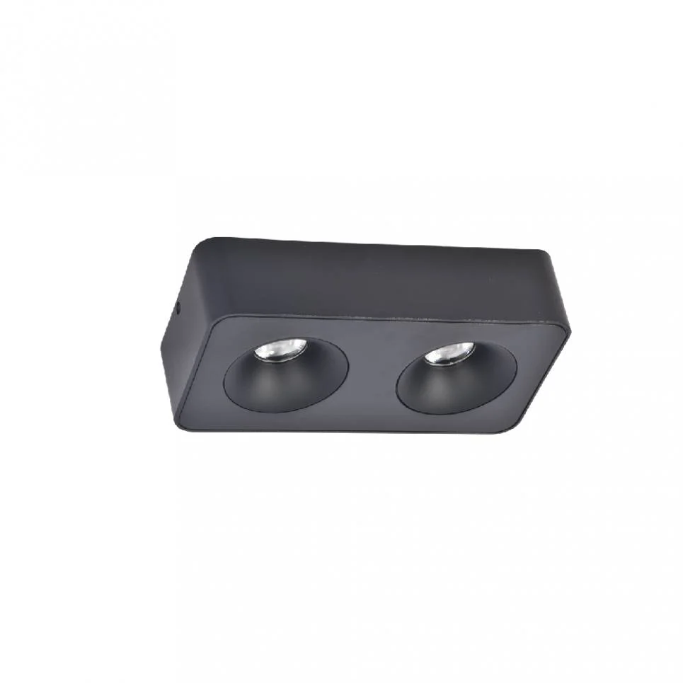 Φωτογραφία προϊόντος: InLight Downlight Mounted σποτ 2*8W 3CCT σε μαύρη απόχρωση (X00270B)