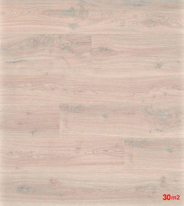 Φωτογραφία προϊόντος: 6139 LD300/20 NEW ΔΑΠΕΔΟ LAMINATE MEISTER 6020006139 ΣΤΟΚ Π.Χ. NewPlan
