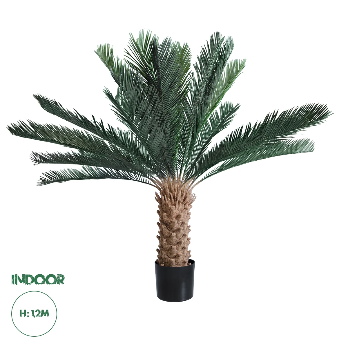 Φωτογραφία προϊόντος: GloboStar® Artificial Garden CYCADS 20022 Τεχνητό Διακοσμητικό Φυτό Αρωματική Κύκας Υ120cm
