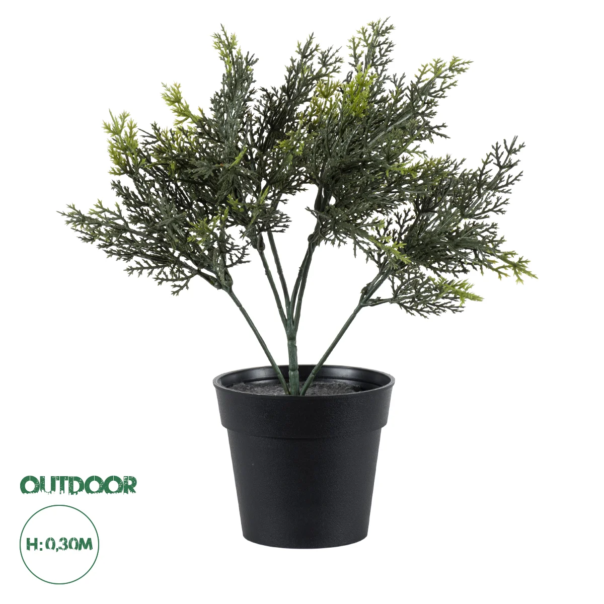 Φωτογραφία προϊόντος: GloboStar® Artificial Garden LEMON CYPRESS 20389 Τεχνητό Διακοσμητικό Φυτό Λεμονόκυπάρισσο Υ30cm