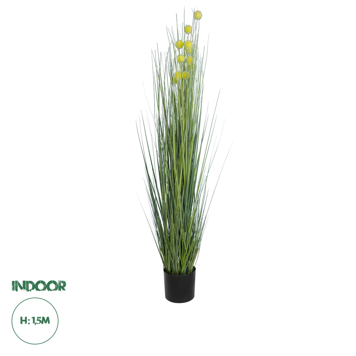 Φωτογραφία προϊόντος: GloboStar® Artificial Garden CRASPEDIA GRASS 20112 Τεχνητό Διακοσμητικό Φυτό Κρασπέδια Υ150cm