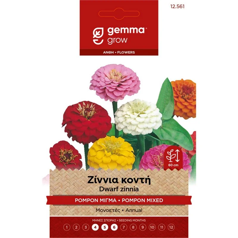 Φωτογραφία προϊόντος: GEMMA ΣΠΟΡΟΙ Ζίννια Κοντή Pompon Mix