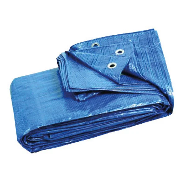 Φωτογραφία προϊόντος: OEM Tarpaulin 3 x 4 m blue profi
