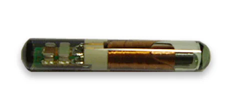 Φωτογραφία προϊόντος: Immobilizer Chip TPX1 - 4C