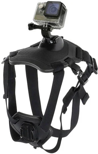 Φωτογραφία προϊόντος: Puluz Dog Chest Strap Action Cameras Gopro Insta360 Dji Action Etc