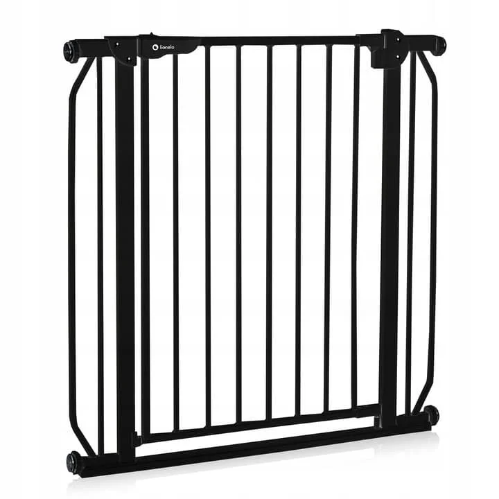Φωτογραφία προϊόντος: Lionelo Truus Slim Πόρτα Ασφαλείας Black Onyx