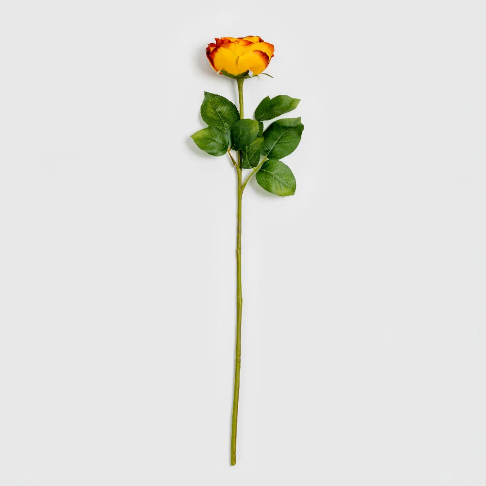 Φωτογραφία προϊόντος: CABBAGE ROSE ΛΟΥΛΟΥΔΙ ΤΕΧΝΗΤΟ 66cm POLYESTER TERRACOTTA ΠΡΑΣΙΝΟ