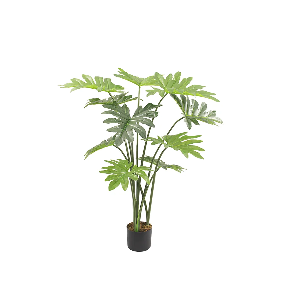 Φωτογραφία προϊόντος: PHILODENDRON ΔΕΝΤΡΟ ΤΕΧΝΗΤΟ ΣΕ ΓΛΑΣΤΡΑ 130cm PEVA ΠΡΑΣΙΝΟ