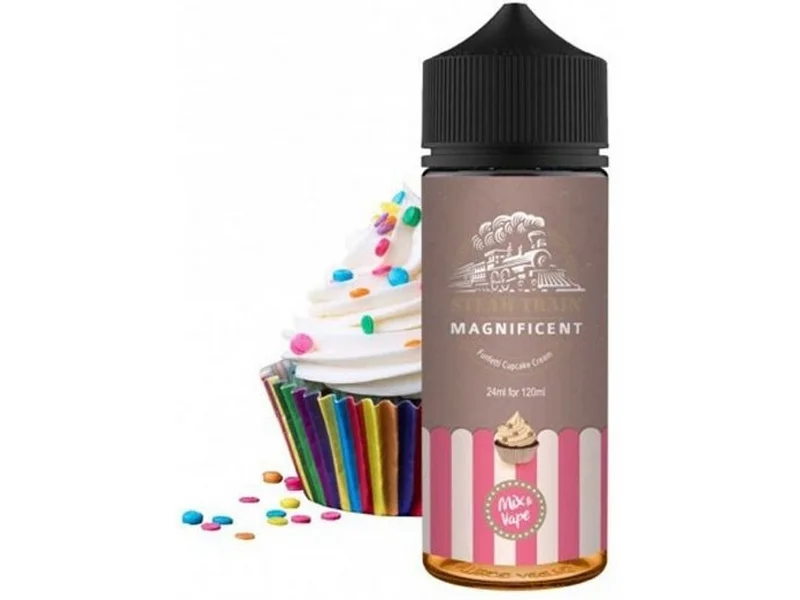 Φωτογραφία προϊόντος: Steam Train Flavorshot Magnificent 24/120ml