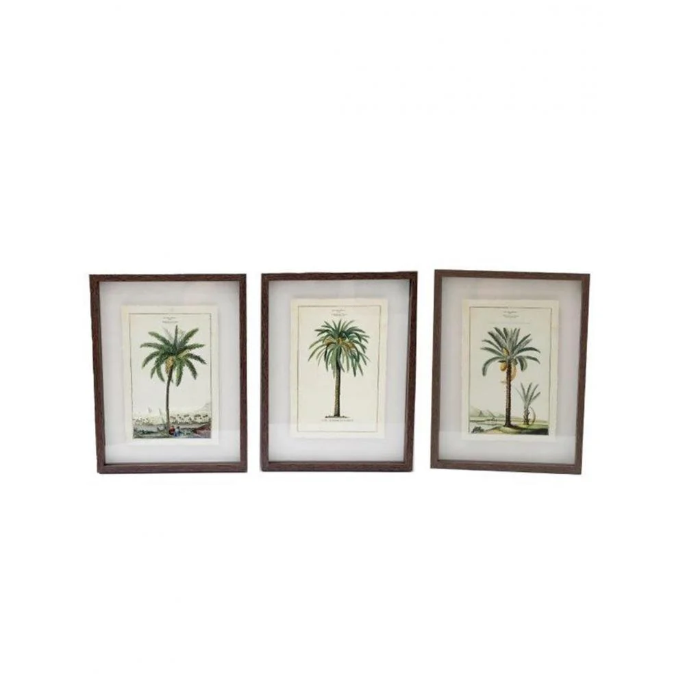 Φωτογραφία προϊόντος: Plastona Κάδρο "Palm" 3σχέδια 30x40 cm