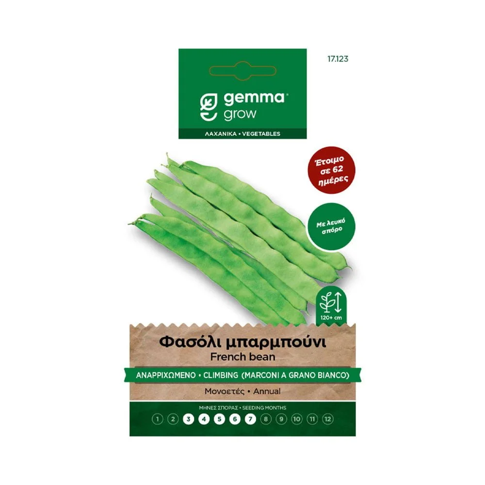 Φωτογραφία προϊόντος: Gemma Φασόλι Μπαρμπούνι Αναρριχώμενο Άσπρο Καρπό - 17123