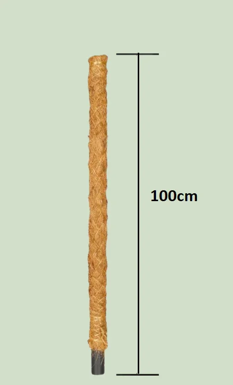 Φωτογραφία προϊόντος: Mosspole 100 cm