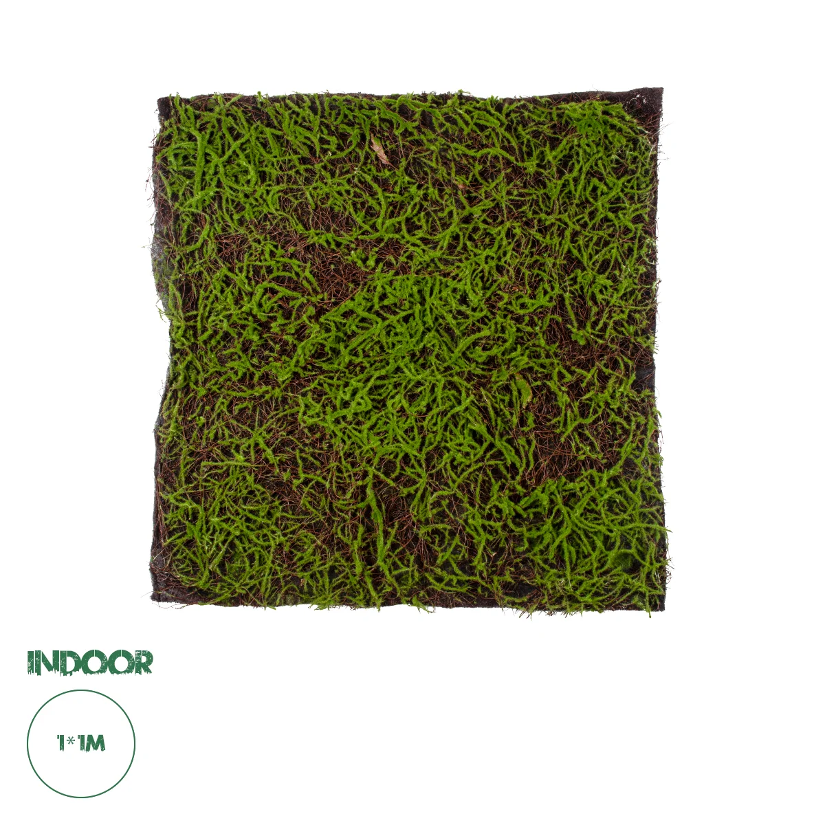 Φωτογραφία προϊόντος: GloboStar® Artificial Garden BRYOPHYTA 20143 Τεχνητό Διακοσμητικό Πάνελ Φυλλωσιάς - Κάθετος Κήπος Βρύα Μ100 x Π100 x Υ5cm
