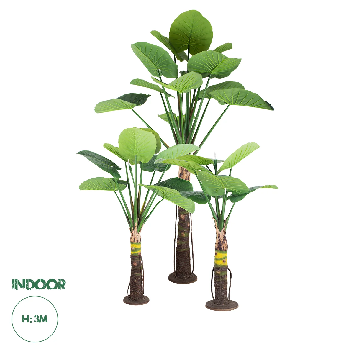 Φωτογραφία προϊόντος: GloboStar® Artificial Garden TARO SET 20089 Τεχνητό Διακοσμητικό Σετ Φυτών Κολοκασία A:Υ300cm B:Υ210cm C:Υ160cm
