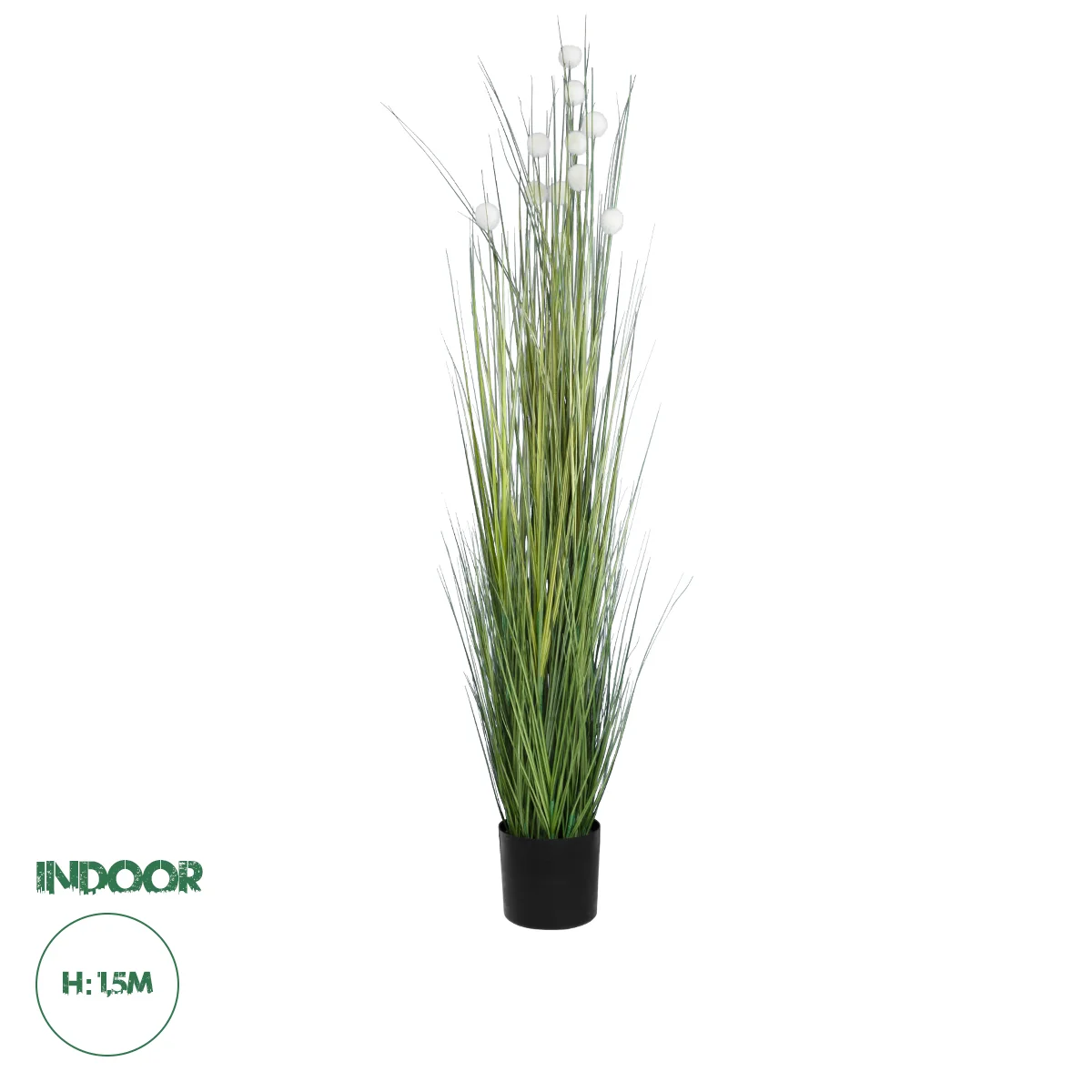Φωτογραφία προϊόντος: GloboStar® Artificial Garden LAGURUS GRASS 20111 Τεχνητό Διακοσμητικό Φυτό Λαγοουρά Υ150cm