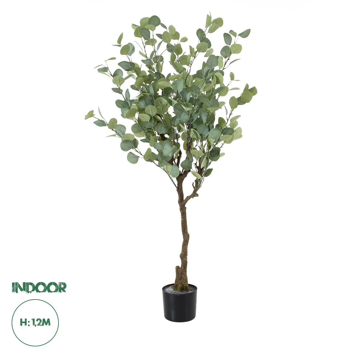 Φωτογραφία προϊόντος: GloboStar® Artificial Garden EUCALYPTUS 20189 Τεχνητό Διακοσμητικό Φυτό Ευκάλυπτος Υ120cm
