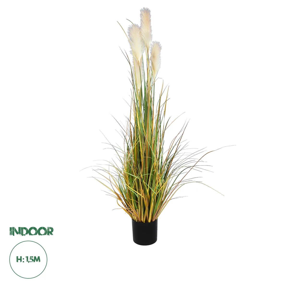Φωτογραφία προϊόντος: GloboStar® Artificial Garden PAMPAS GRASS 20108 Τεχνητό Διακοσμητικό Φυτό Γρασίδι της Πάμπας Υ150cm