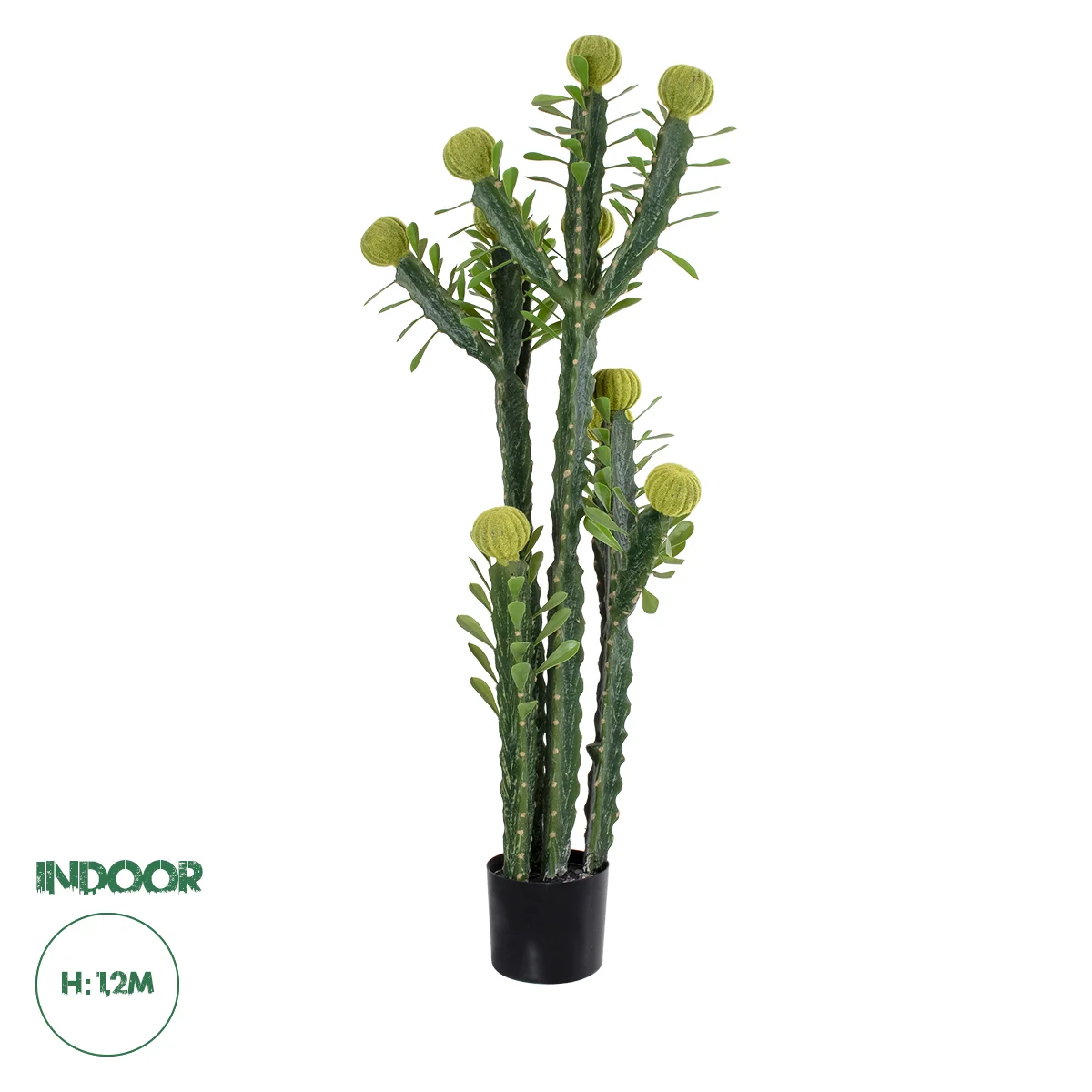 Φωτογραφία προϊόντος: GloboStar® Artificial Garden CEREUS JAMACARU CACTUS 20193 Τεχνητό Διακοσμητικό Φυτό Κάκτος Κηρίος Υ120cm