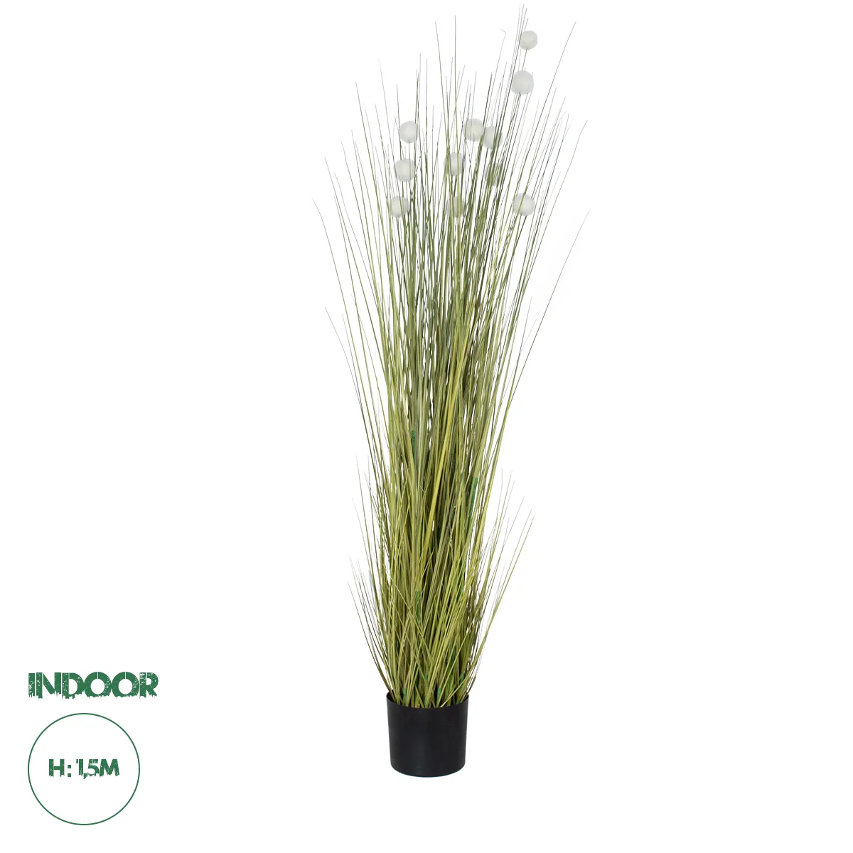 Φωτογραφία προϊόντος: GloboStar® Artificial Garden ERIOPHORUM ANGUSTIFOLIUM COTTON GRASS 20073 Τεχνητό Διακοσμητικό Φυτό Γρασίδι του Βαμβακιού Υ150cm
